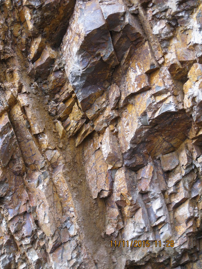 Rock Slope, Jersey  - Jointed Jersey Shale